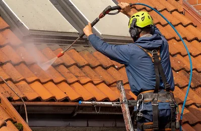Démoussage et hydrofuge de toiture à Laubrières
